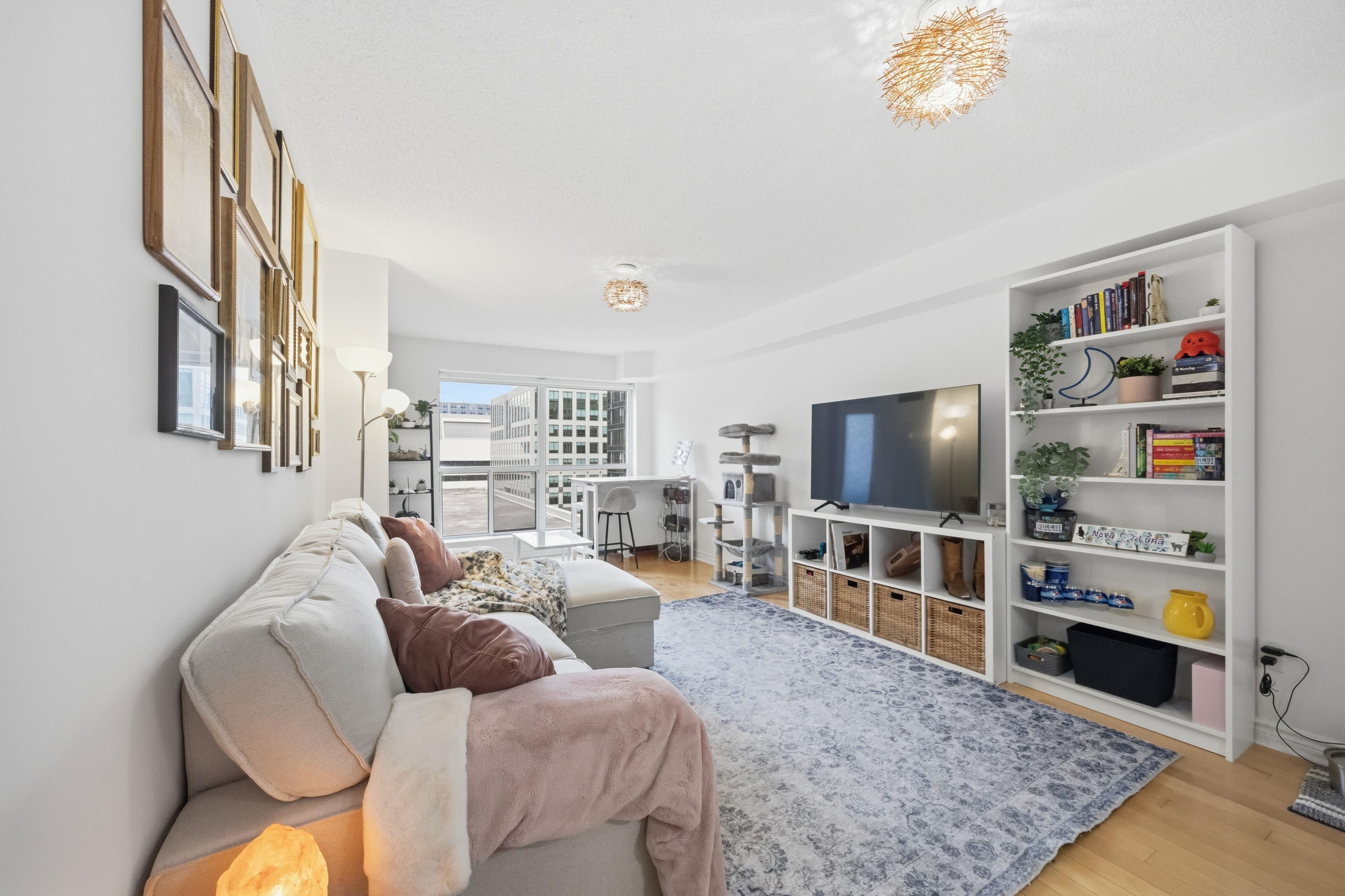 Bright living room with south-facing natural light