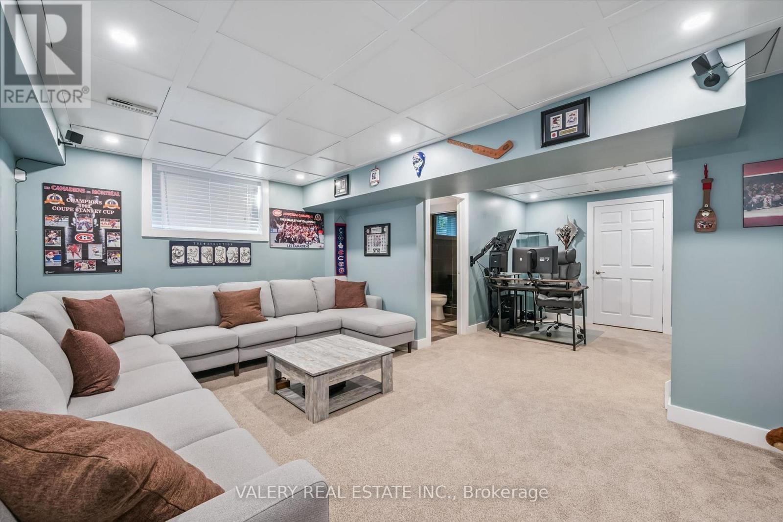Finished basement recreation room