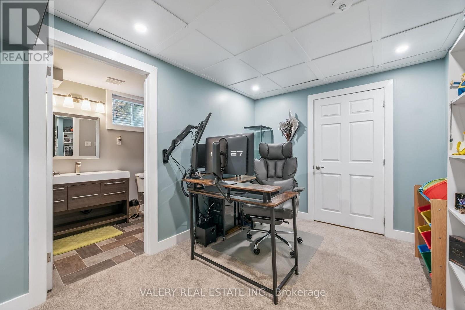 Basement flex space / home office