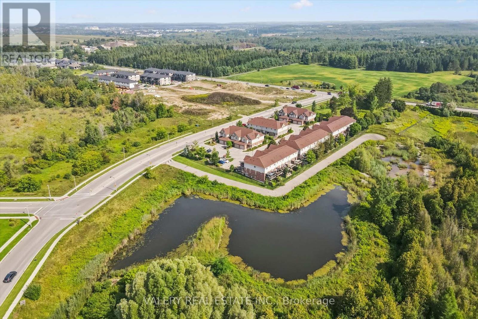 Aerial of the surrounding greenspace and pond