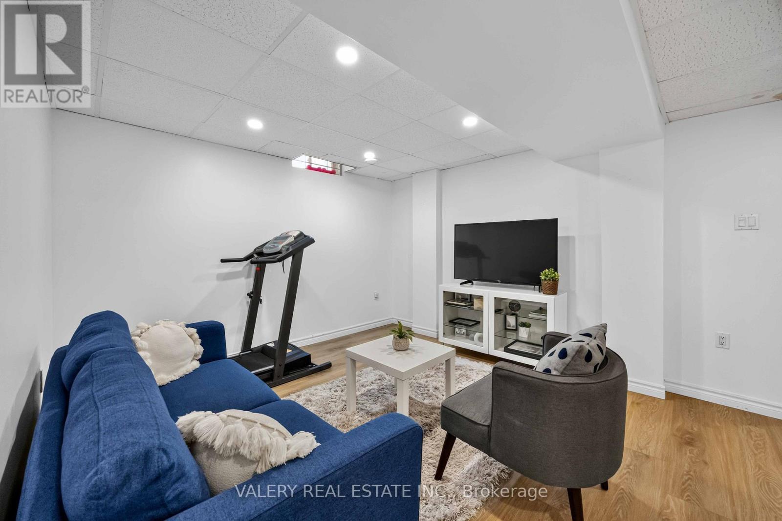Basement lounge area